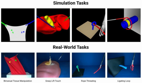 Towards entry "Gentle Deformable Object Manipulation (Publication)"